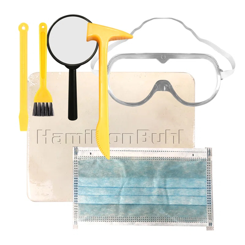 HamiltonBuhl Paleo Hunter Dig Kit for Education - Mammoth Rex