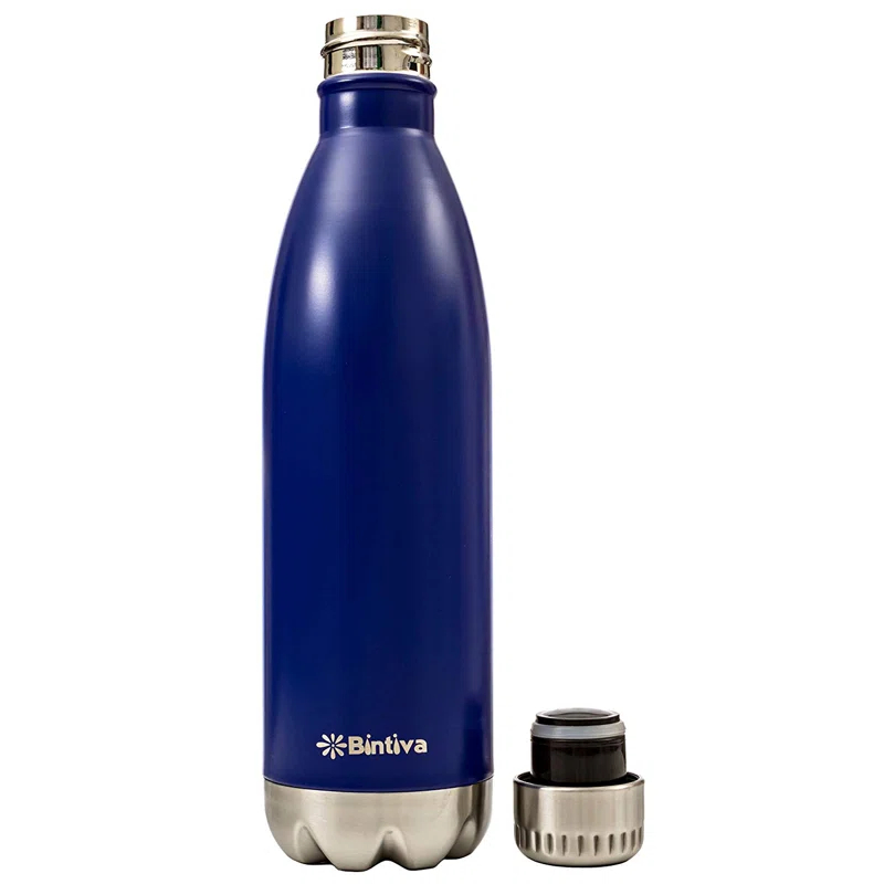 Bintiva Bintiva 17oz. Double Wall Insulated Stainless Steel Water Bottle