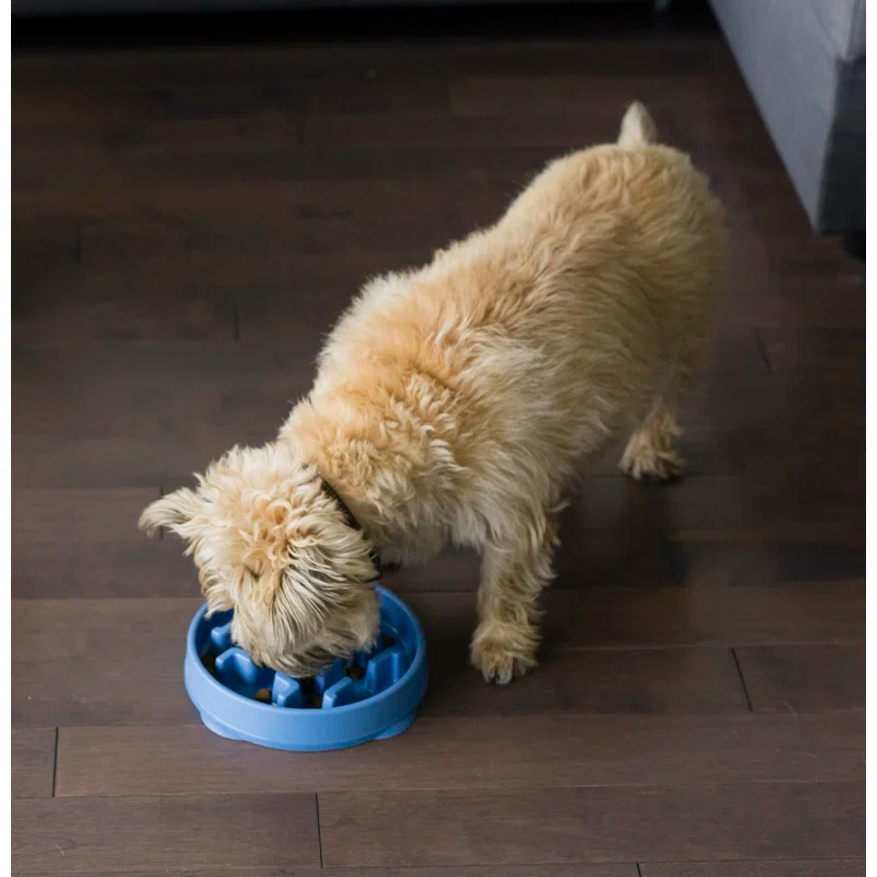Outward Hound Outward Hound Fun Feeder Slow Bowl, Slow Feeder Dog Bowl, Blue