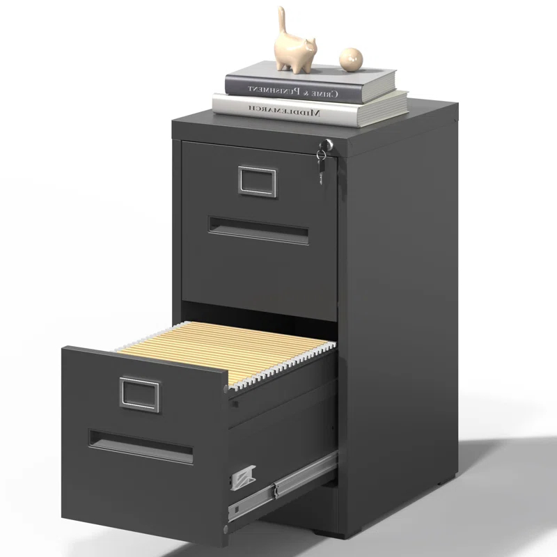 2 Drawer Metal Vertical File Cabinet with Lock for Home Office, A4/Letter/Legal Size, Assembly Required