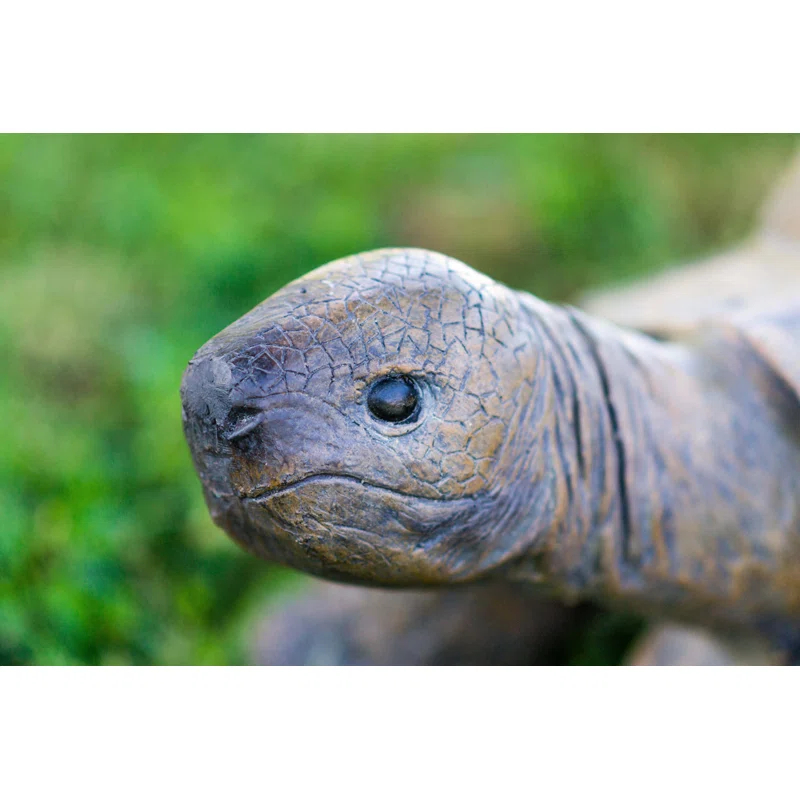 Hi-Line Gift Ltd. Large Turtle Statue
