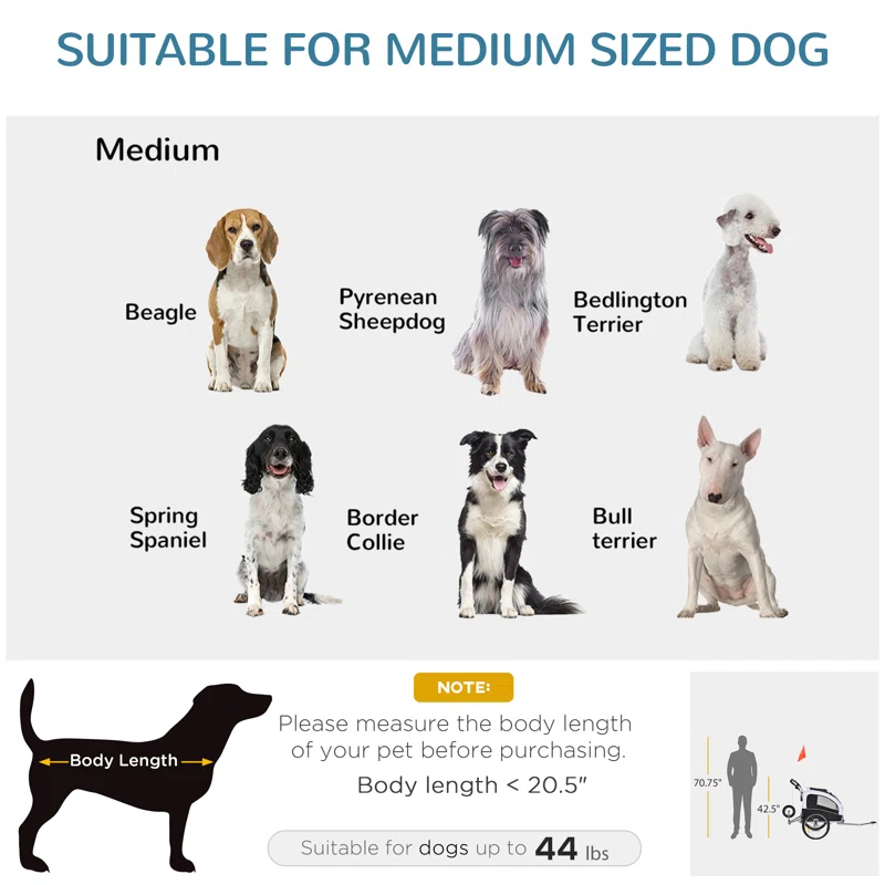 Aosom Foldable Pet Jogger Stroller
