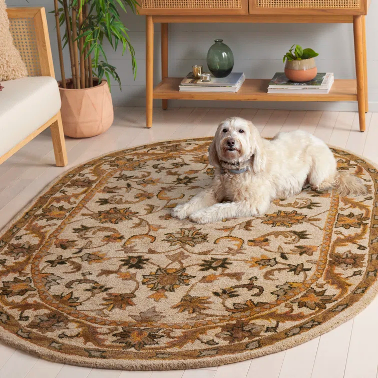 Safavieh Oval 4'6" x 6'6"