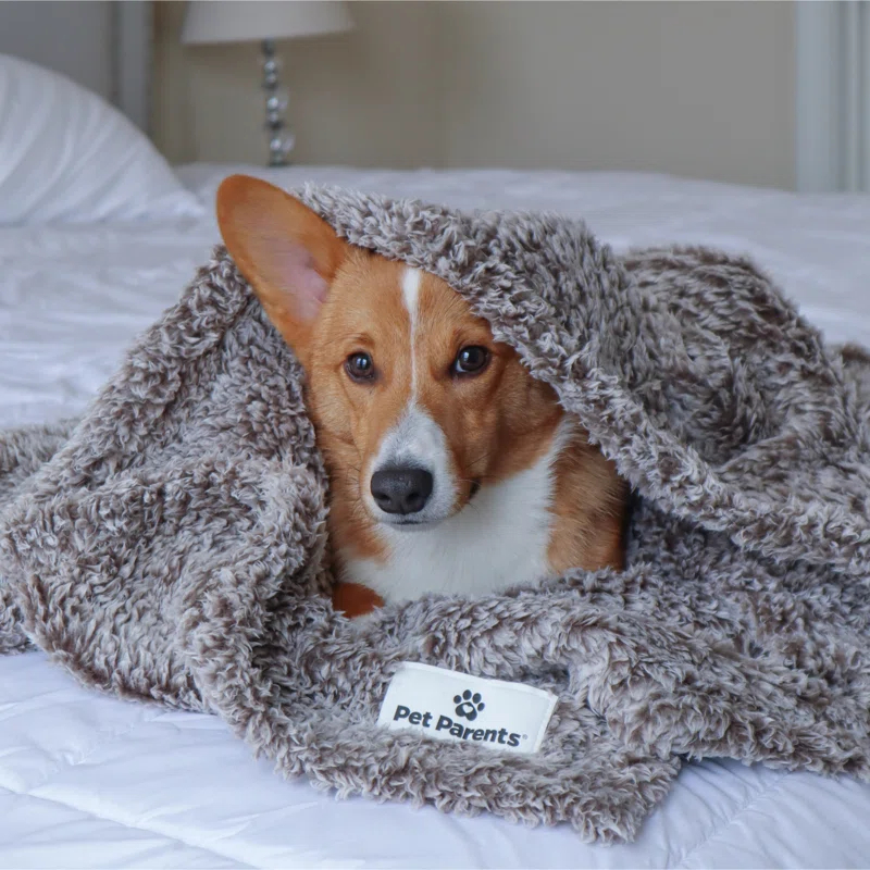 Pet Parents® Pet Blanket, Premium Dog & Cat Blanket