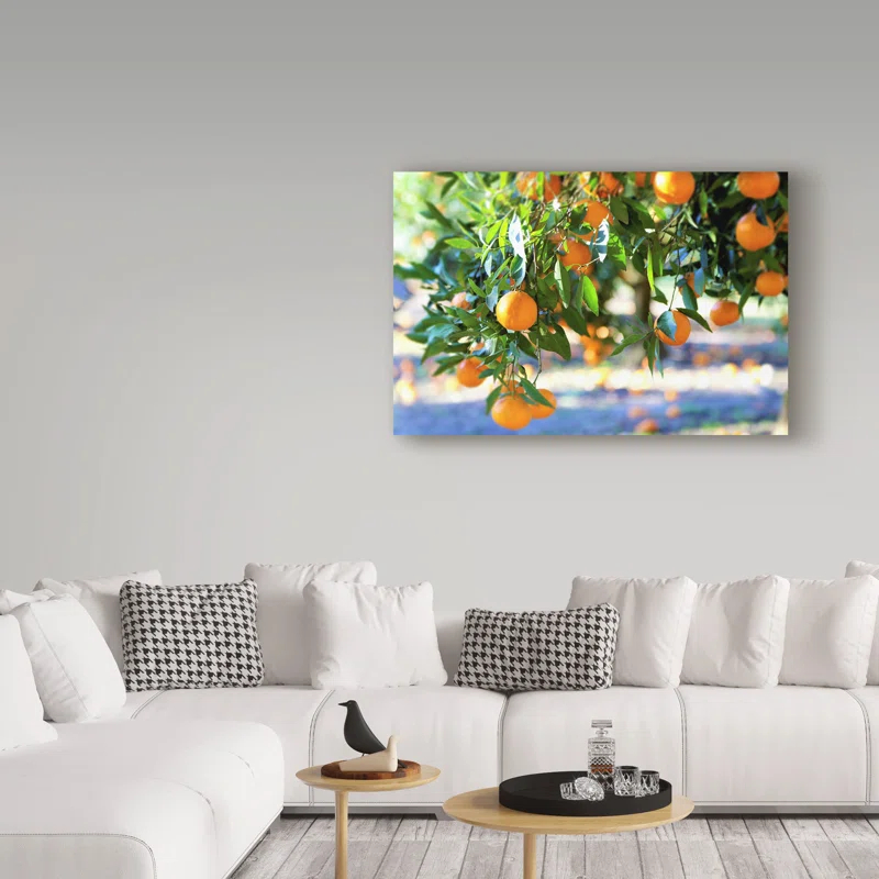 Trademark Fine Art Incredi " Citrus Oranges " by Incredi