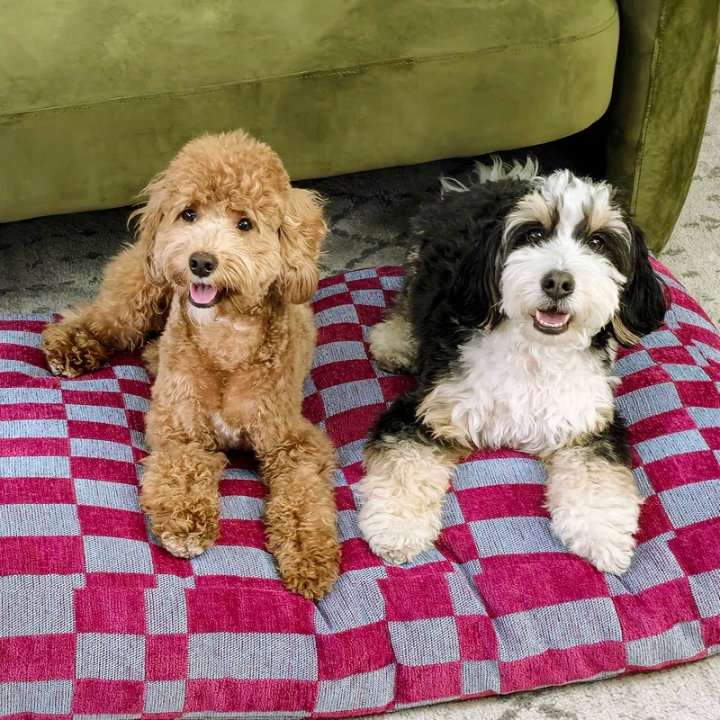 Mabel Designer Modern Ultra Soft Reversible Plush Rectangular Pet Bed with Washable Cover