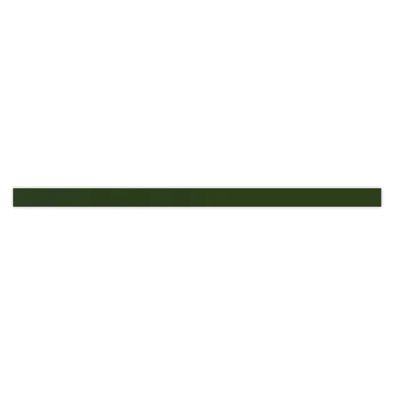 Apollo Tile Terralis 0.6 X 12 In. Glossy Porcelain Bullnose Trim Wall And Floor Tile (0.5 Sq Ft/Case) - 10 Pack