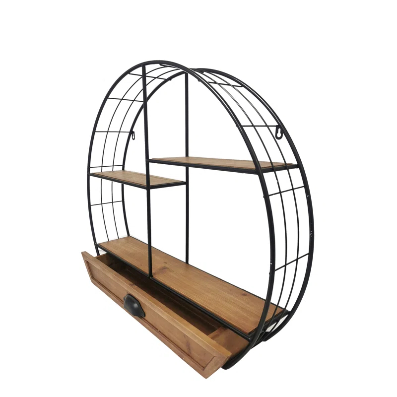 Carina's Collection Wall Organizer