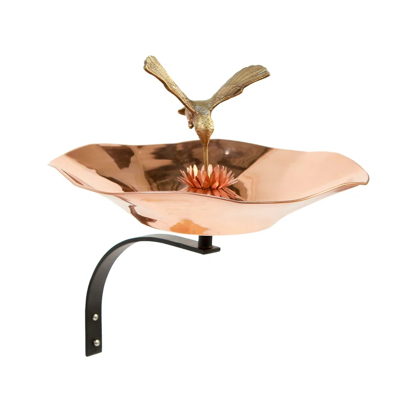 Ophelia & Co. Hummingbird Birdbath with Wall Mount Bracket
