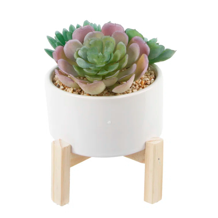Primrue 5.5'' Faux Succulent Plant in Ceramic Pot