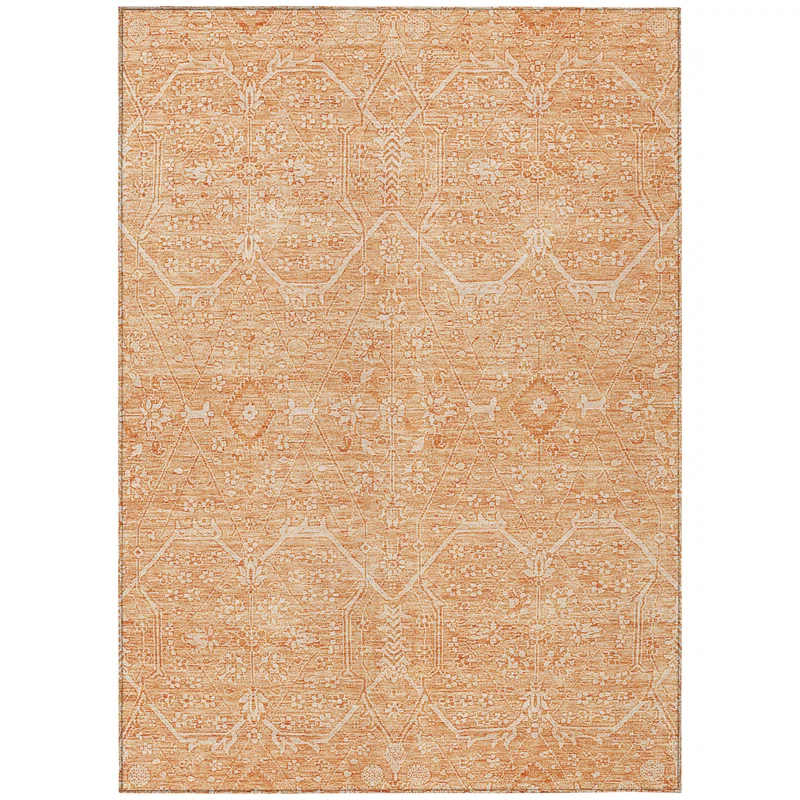 Machine Washable Indoor/Outdoor Claudian ACN1224 Salmon Rug