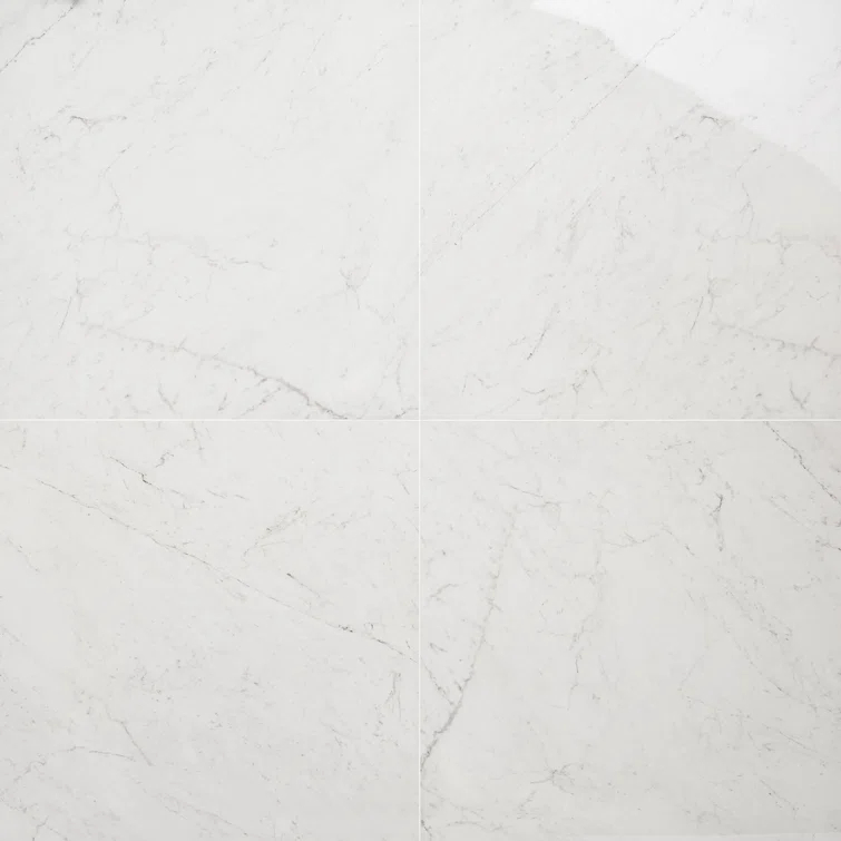 24" x 24" Polished Marble Look Porcelain Floor and Wall Tile (15.5 Sq. Ft. / Case)
