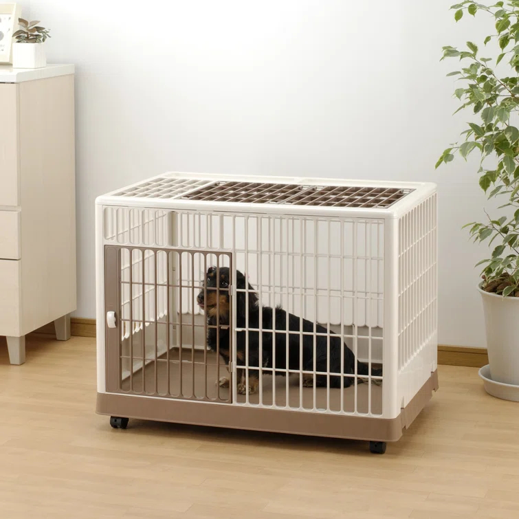 Richell Plastic Pet Crate with 2 Doors