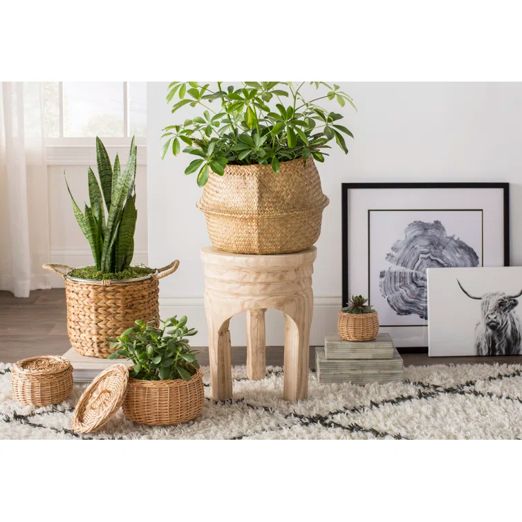 Everdeen Solid Wood Accent Stool