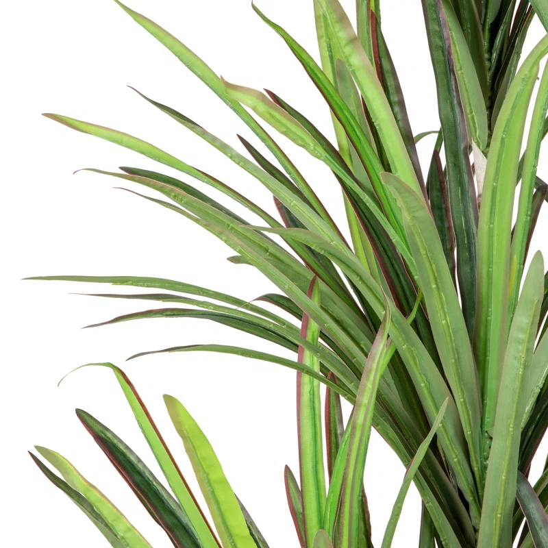 Northlight Seasonal 5.5' Green Artificial Potted Dracaena Marginata Plant