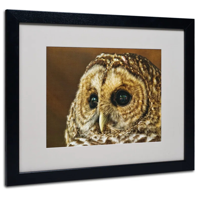 Trademark Fine Art Modern & Contemporary