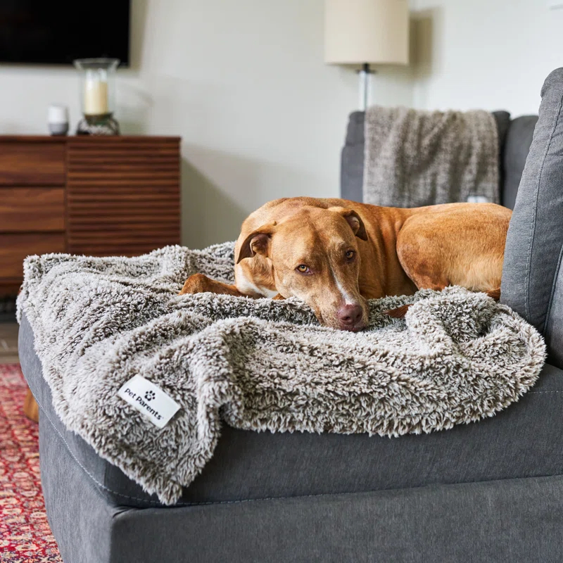 Pet Parents® Pet Blanket, Premium Dog & Cat Blanket