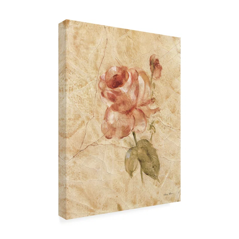 Trademark Fine Art Cheri Blum Rose On Cracked Linen Canvas Art