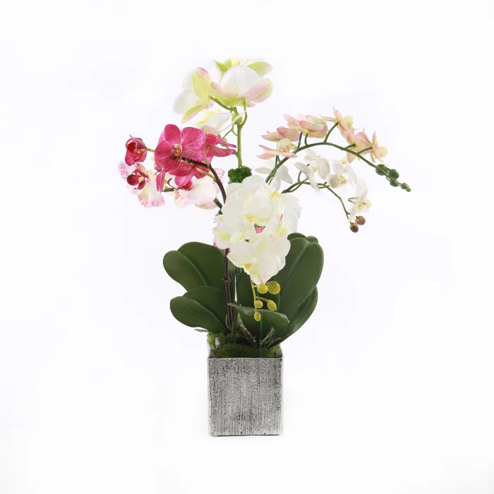 Jenny Silks Orchid Arrangement in Pot