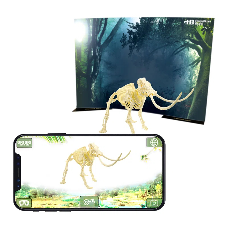 HamiltonBuhl Paleo Hunter Dig Kit for Education - Mammoth Rex