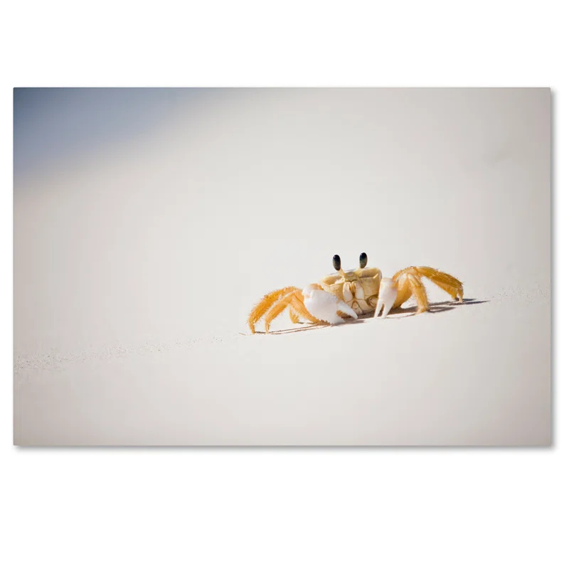 Trademark Fine Art Jason Shaffer " Ghost Crab 7 " by Yale Gurney