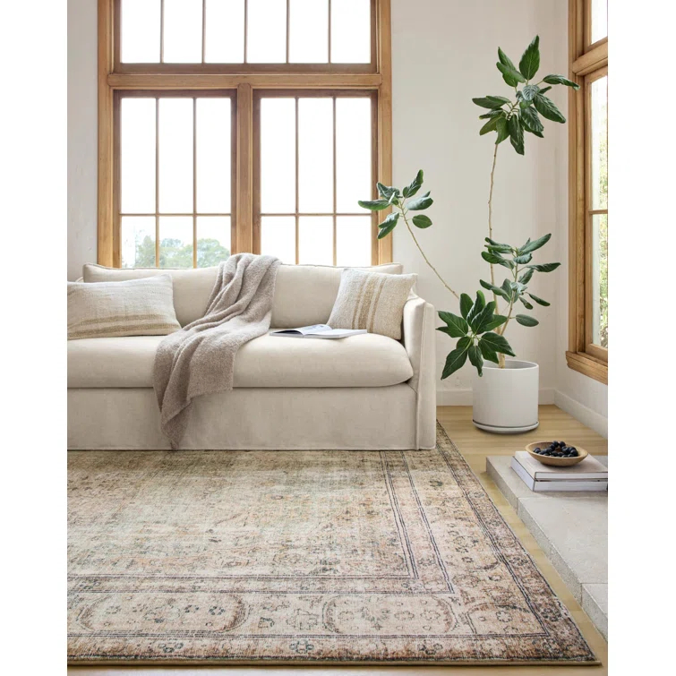 Loloi II Loloi Margot Antique/Sage Area Rug feat. CloudPile & Reviews | Joss & Main