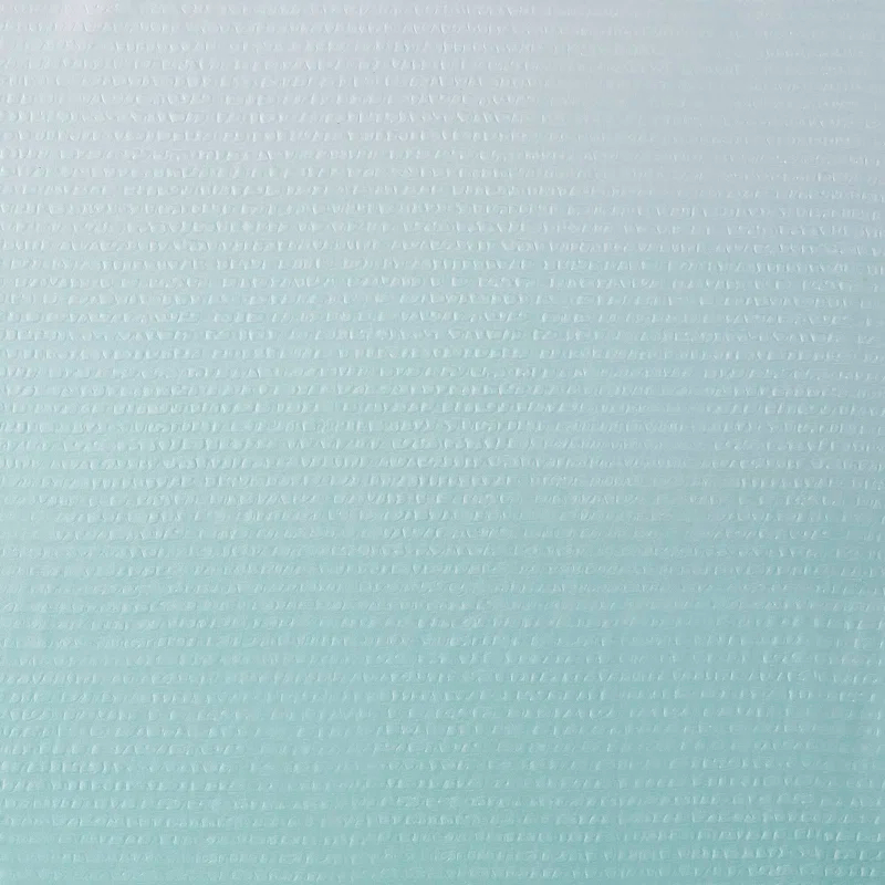 Madison Park Ara Ombre Printed Seersucker Single Shower Curtain