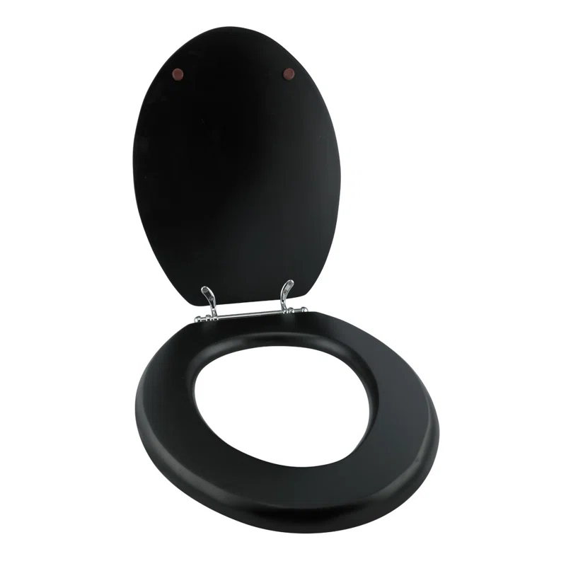 Elongated Toilet Seat and Lid