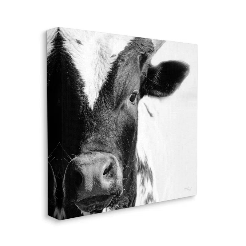 " Rural Farm Cow Stunning Up Close " by Jennifer Pugh