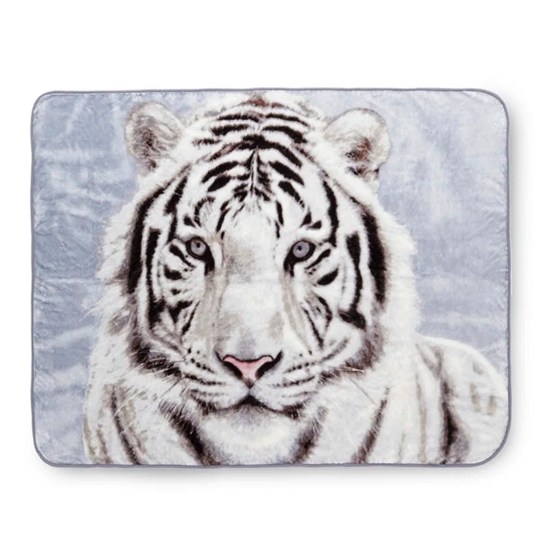 Shavel Home Products High Pile Oversized 60x80 Luxury Throw