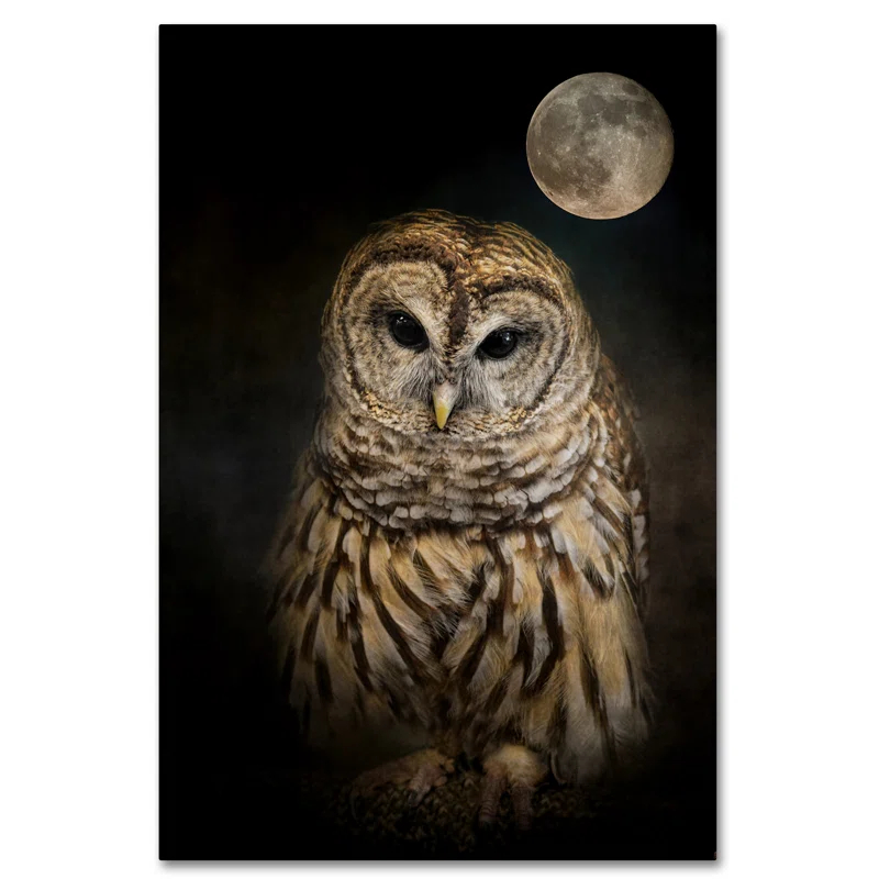 Trademark Fine Art Jai Johnson " Barred Owl And The Moon " by Jai Johnson