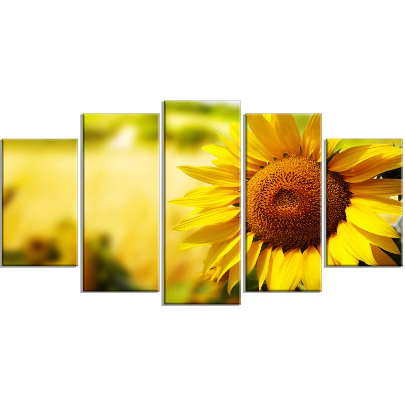 Design Art " Beautiful Tuscany Sunflower " 5 - Pieces