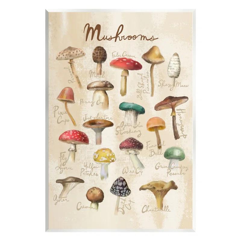 Stupell Industries " Vintage Mushroom Types Diagram " by Amylee Weeks