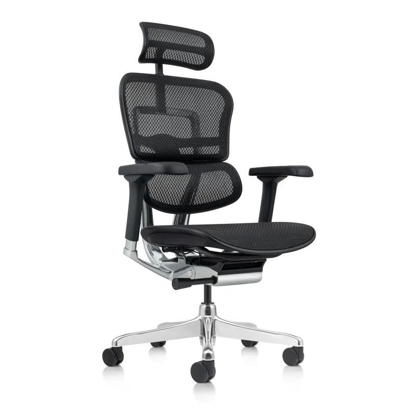 Eurotech Seating Ergohuman Executive Chair with Headrest