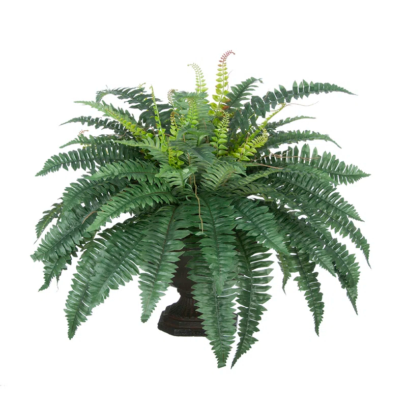 Winston Porter 22'' Faux Fern Plant in Urn