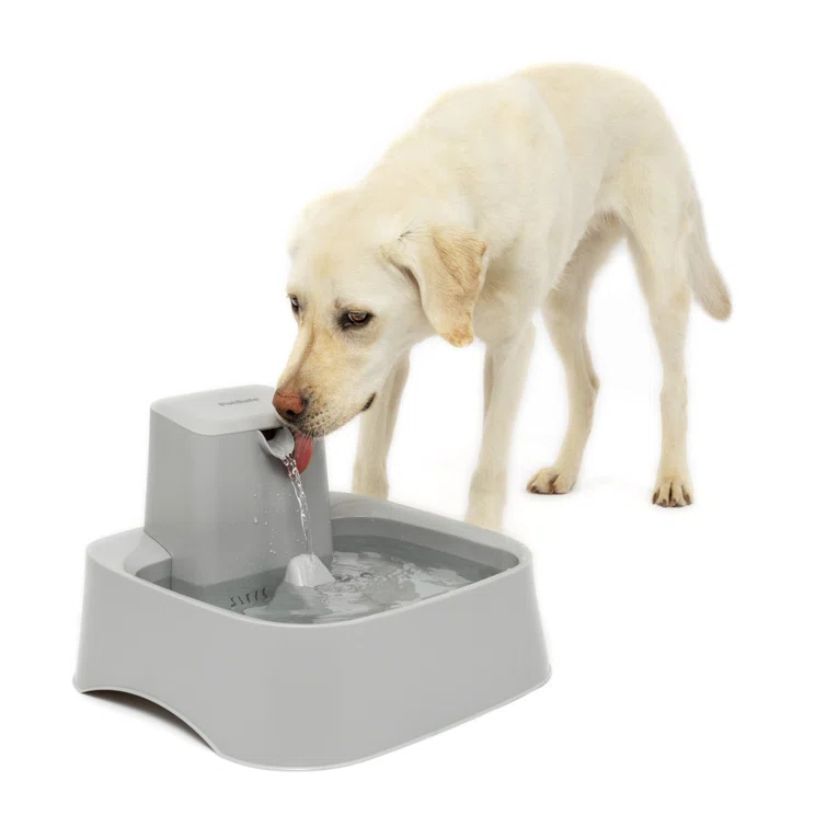 PetSafe® Drinkwell® Gallon Pet Fountain