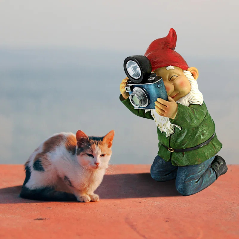 Design Toscano Camera Man Gnome Garden Statue
