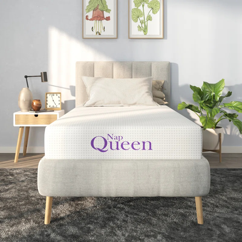 Nap Queen Charlotte, Bamboo Charcoal Infused Medium Firm Memory Foam Mattress & Reviews | Wayfair