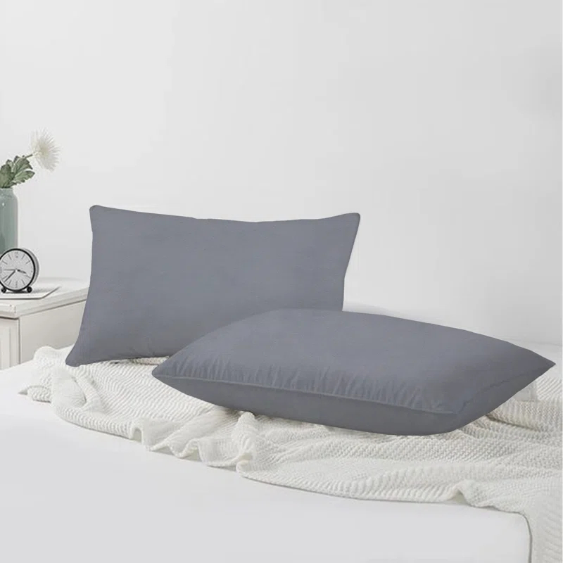 A1 Home Collections LLC Velvet Pillow Cover (Set of 2)