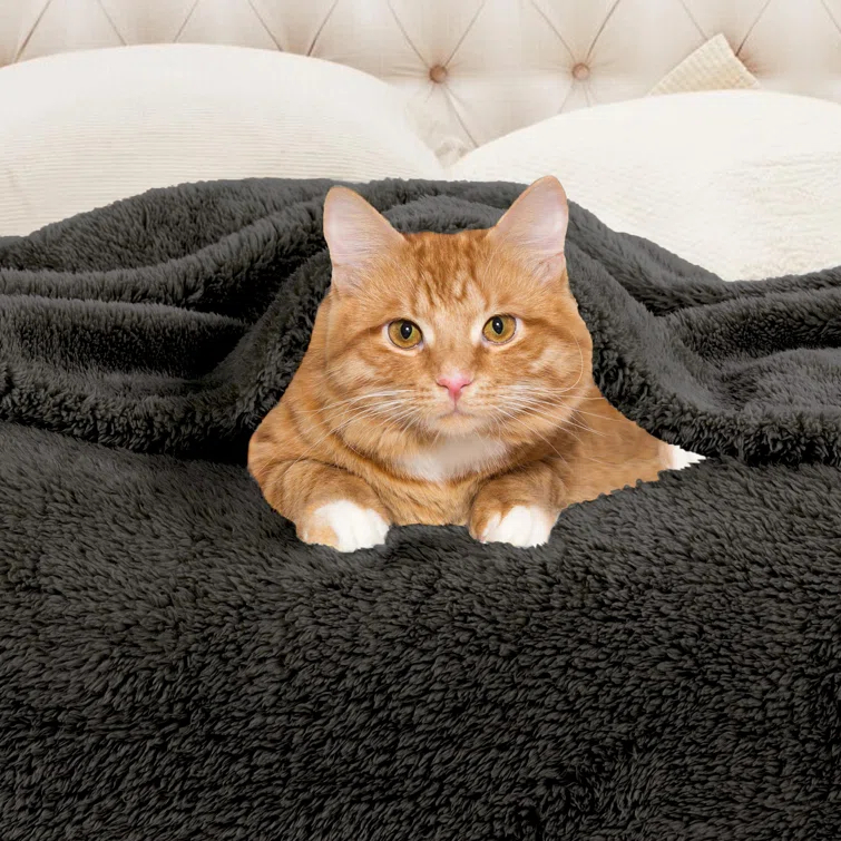Superior Superior Solid Polyester Reversible All-Season Fleece Throws Blanket