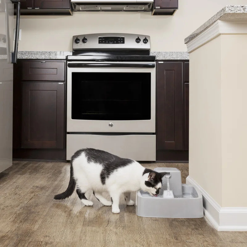 PetSafe® Drinkwell® Gallon Pet Fountain