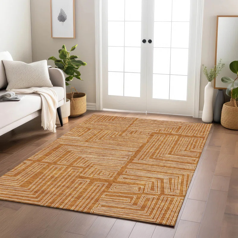 Machine Washable Indoor/Outdoor Chayden ACN1045 Paprika Rug