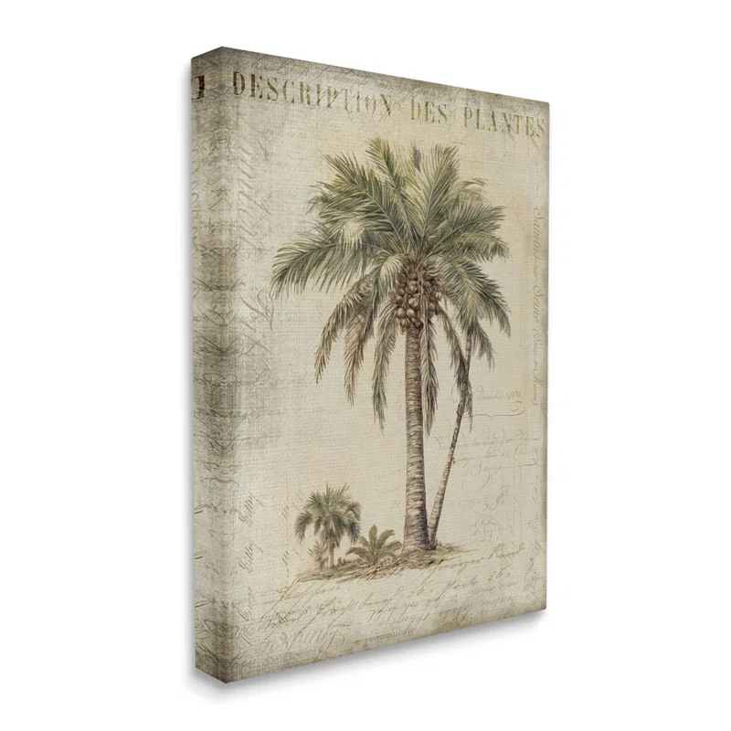 " Vintage Palm Tree Study " by Andrea Haase