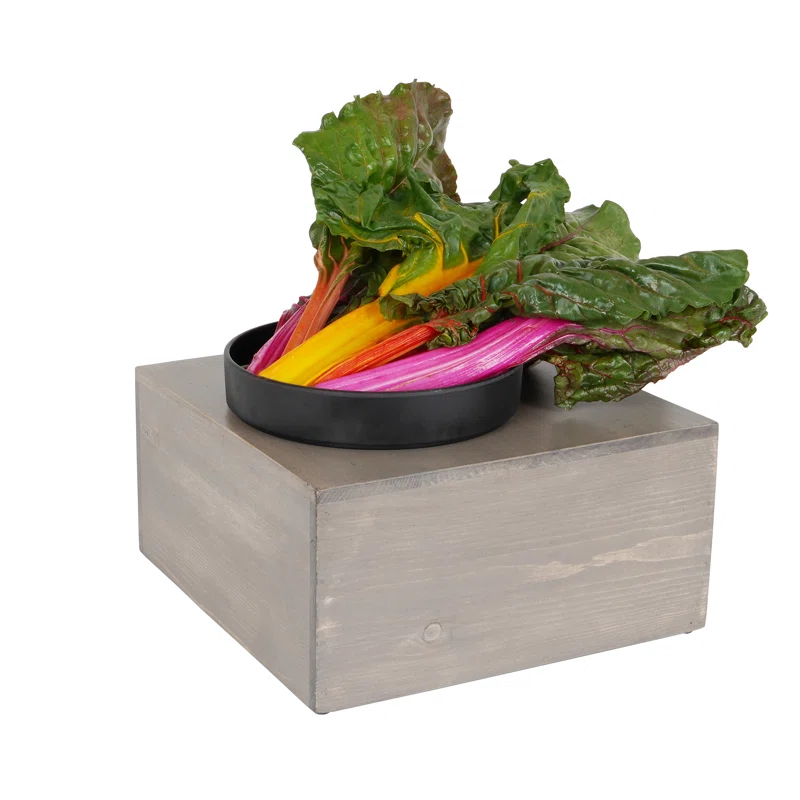 Cal-Mil Aspen Square Riser - 12" x 12" x 6"