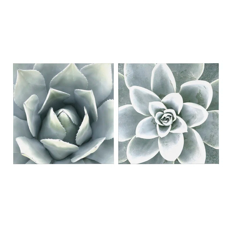 Union Rustic " Soft Botanical Succulents " by The Creative Bunch Studio 2 - Pieces