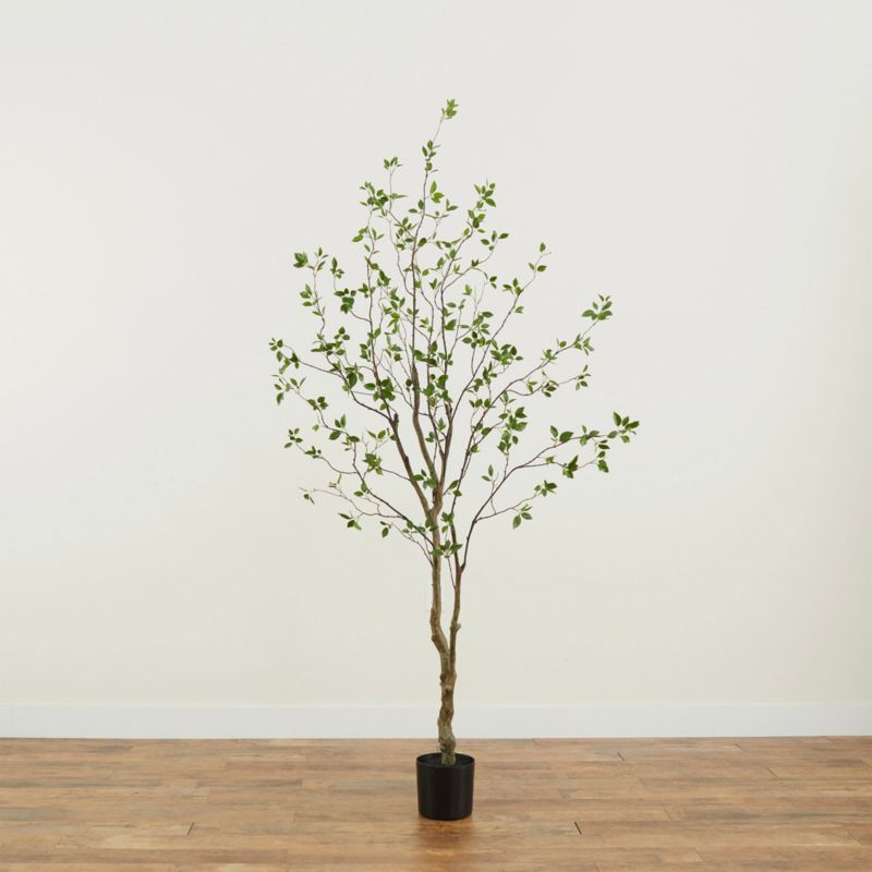 Faux Minimalist Citrus Tree 5'