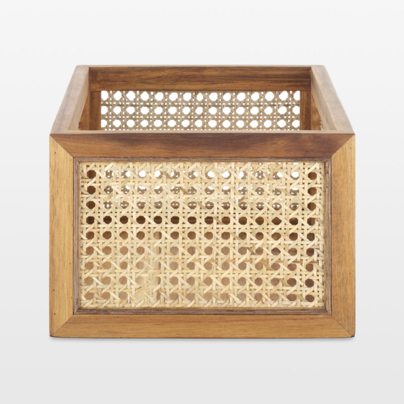 Cane Bin by NEAT Method