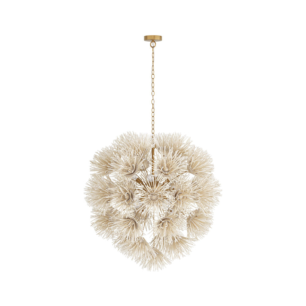 Ivory Coconut Shell and Brass Dandelion Chandelier