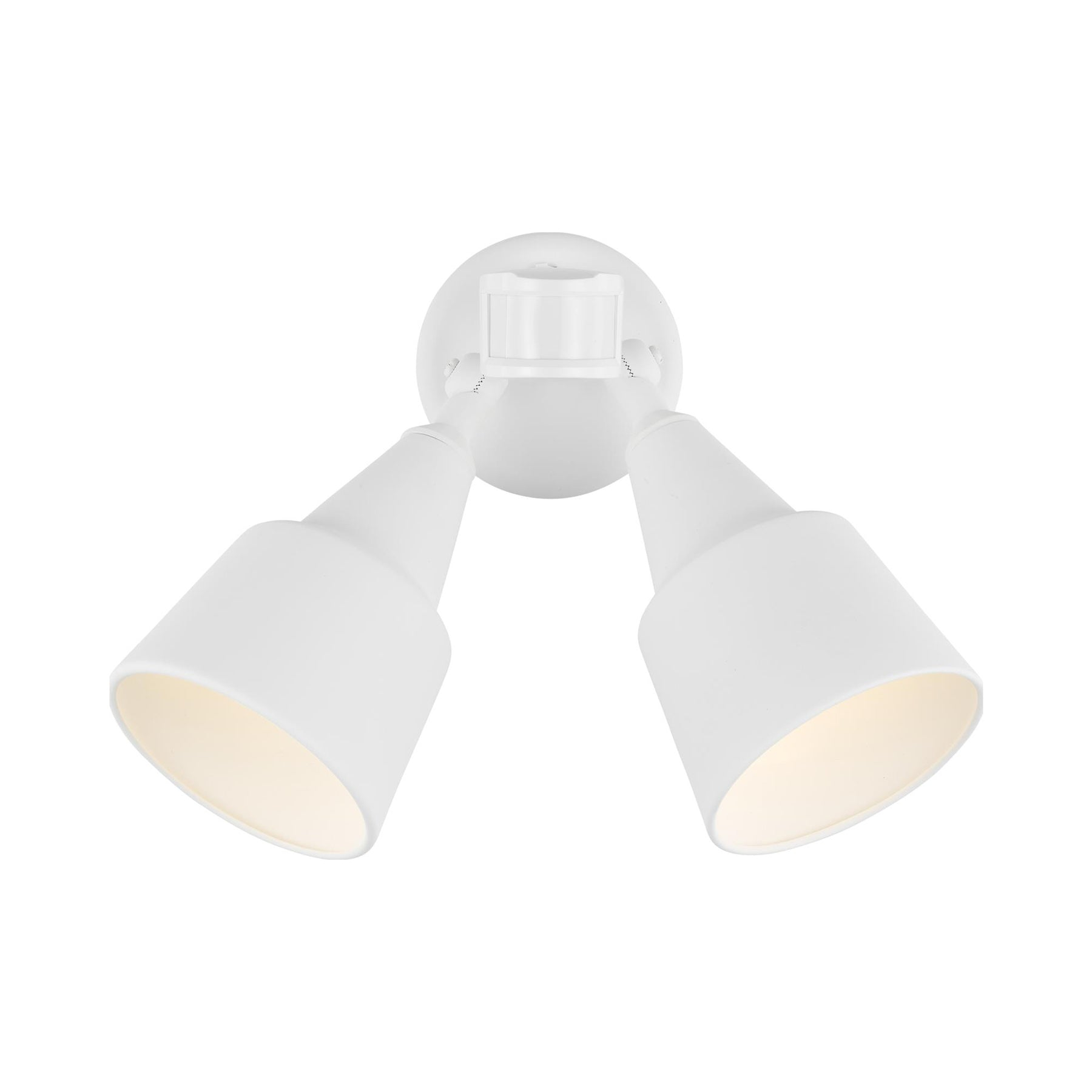 Generation Lighting Collection Metal Flood Light
