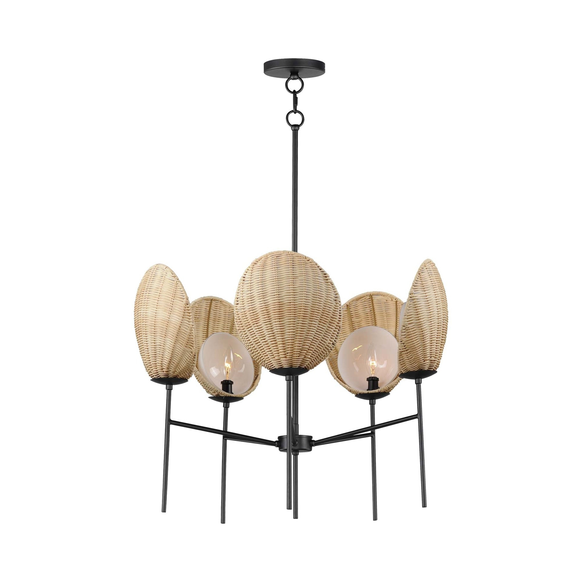 Maxim Lighting Maldives 5 - Light Chandelier in  Black